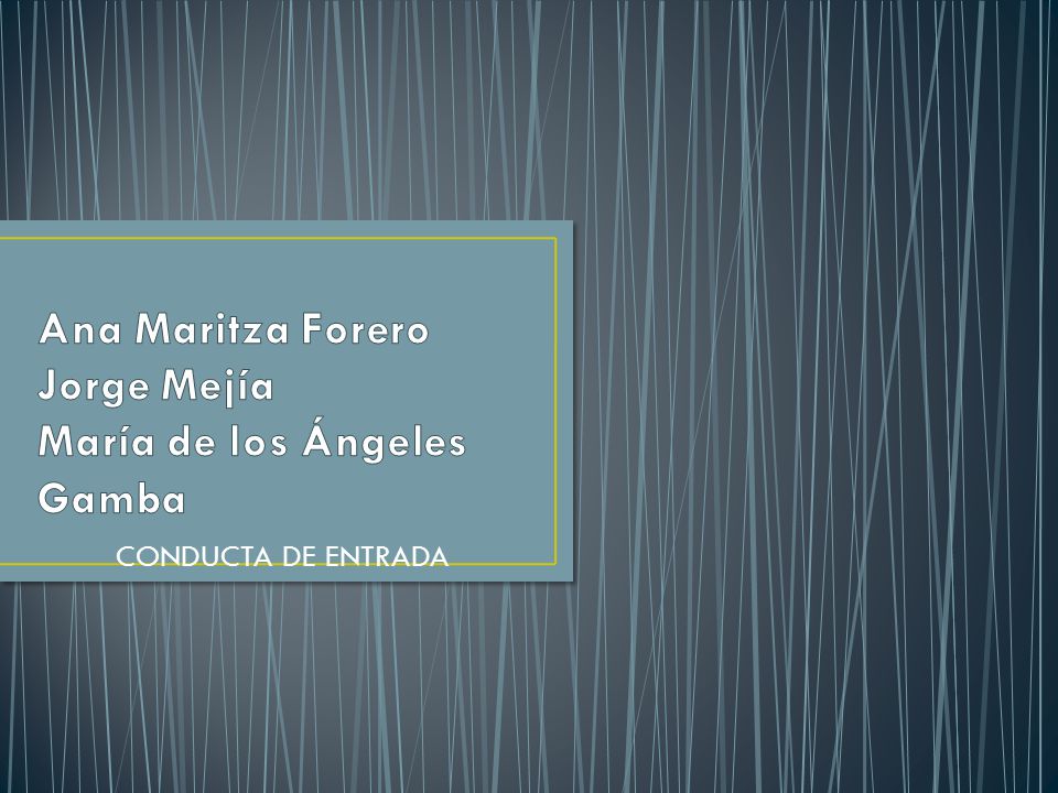 Ana Maritza Forero Jorge Mejía María de los Ángeles Gamba