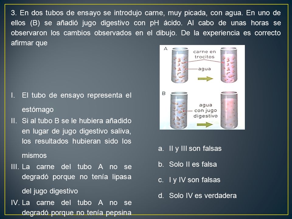 3. En dos tubos de ensayo se introdujo carne, muy picada, con agua