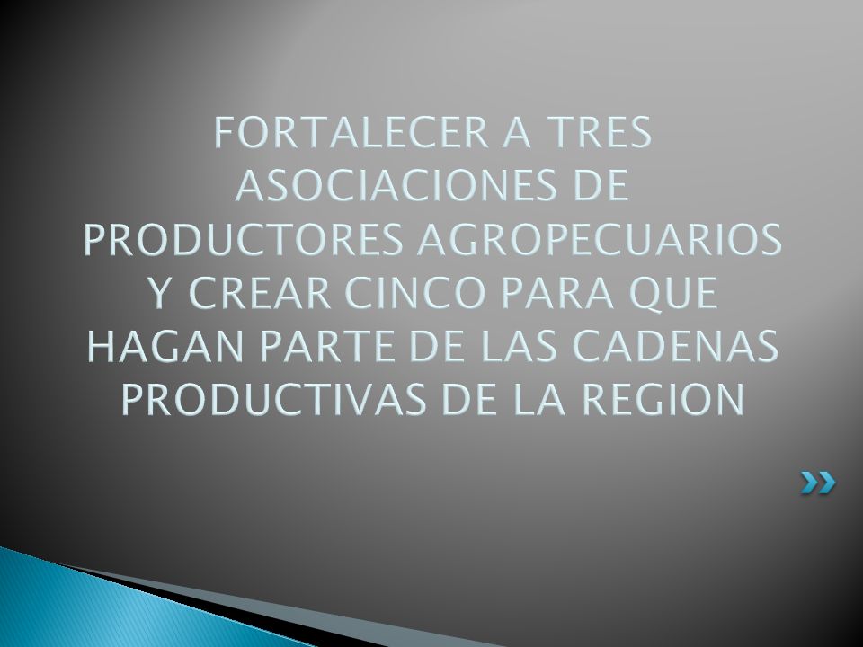 FORTALECER A TRES ASOCIACIONES DE PRODUCTORES AGROPECUARIOS Y CREAR CINCO PARA QUE HAGAN PARTE DE LAS CADENAS PRODUCTIVAS DE LA REGION