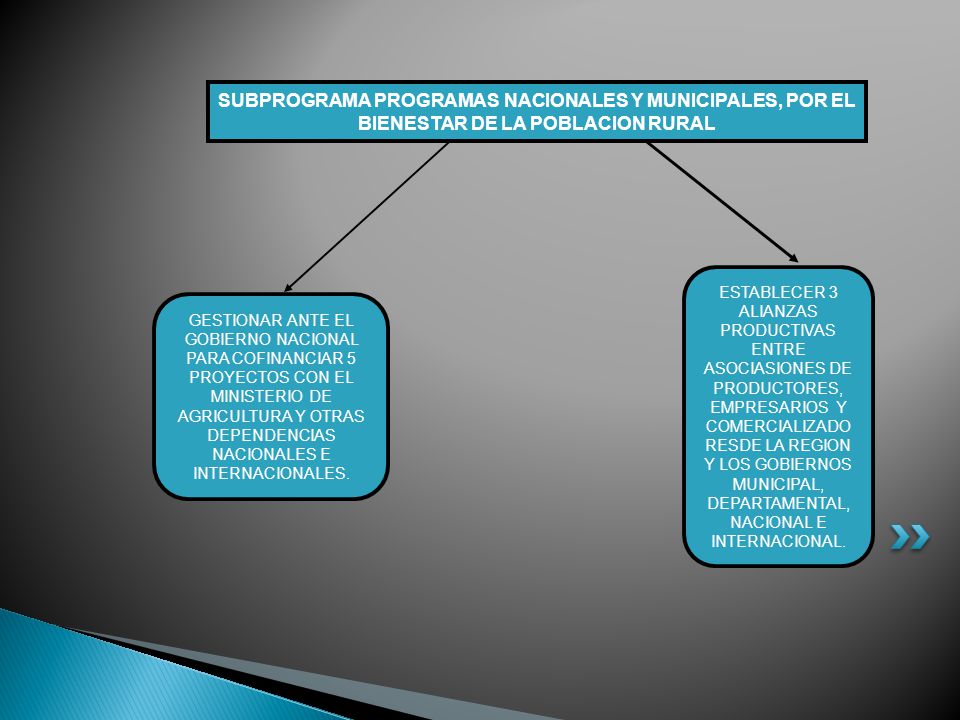 SUBPROGRAMA PROGRAMAS NACIONALES Y MUNICIPALES, POR EL BIENESTAR DE LA POBLACION RURAL