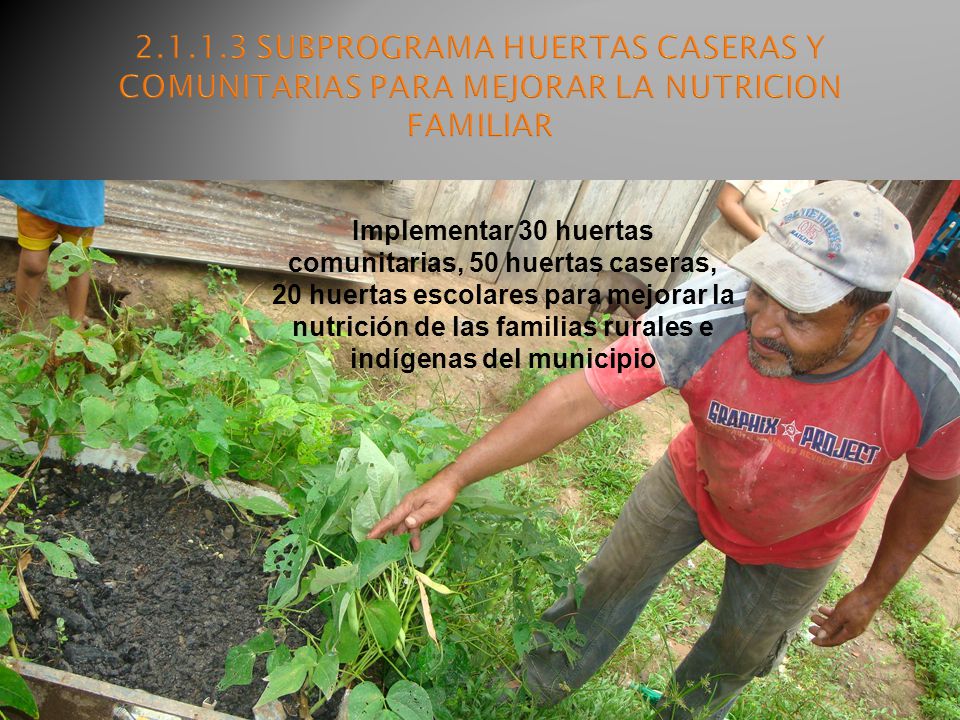 SUBPROGRAMA HUERTAS CASERAS Y COMUNITARIAS PARA MEJORAR LA NUTRICION FAMILIAR