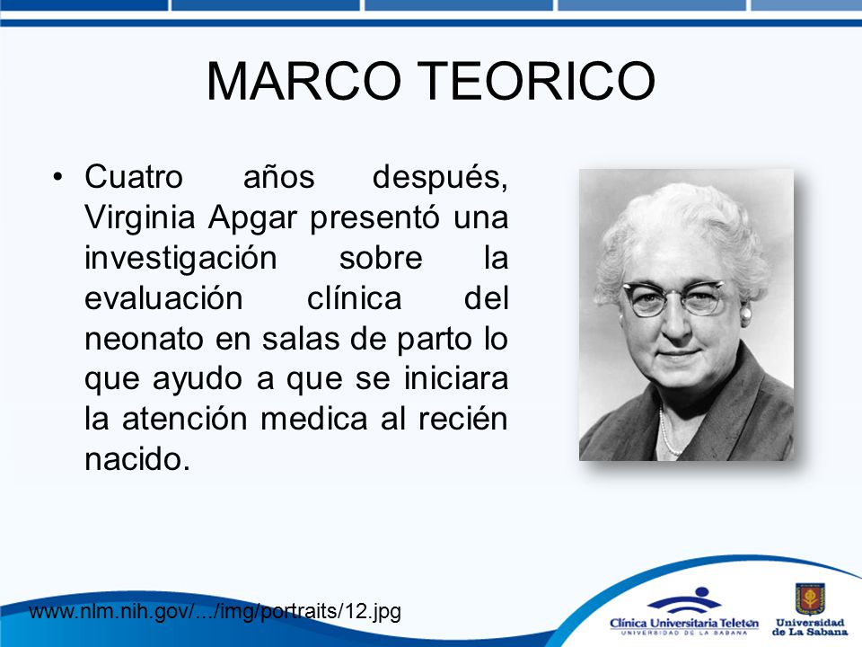 MARCO TEORICO