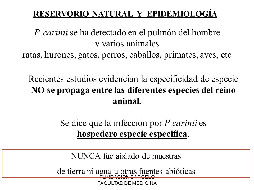 NO se propaga entre las diferentes especies del reino animal.