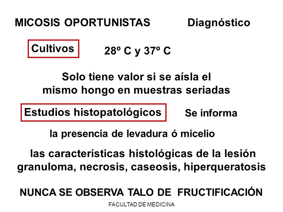 Solo tiene valor si se aísla el mismo hongo en muestras seriadas