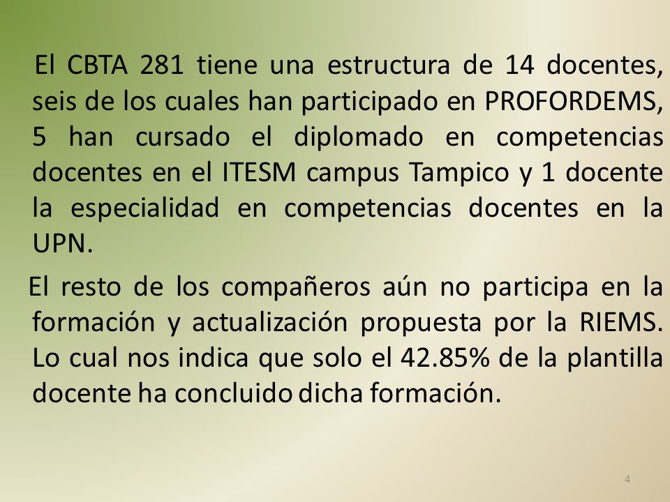 El CBTA 281 tiene una estructura de 14 docentes, seis de los cuales han participado en PROFORDEMS, 5 han cursado el diplomado en competencias docentes en el ITESM campus Tampico y 1 docente la especialidad en competencias docentes en la UPN.