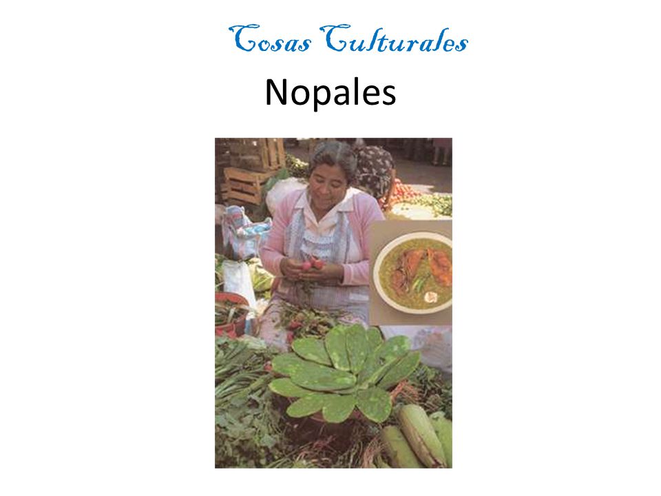 Cosas Culturales Nopales Vegetale- como cactus Son morados y verdes
