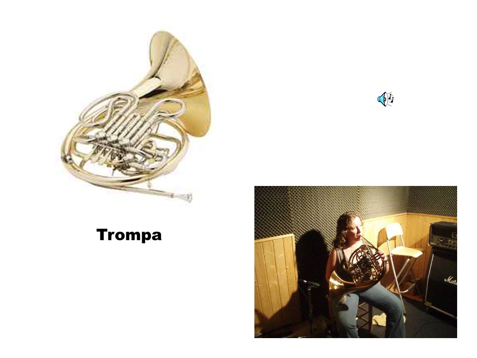 Trompa