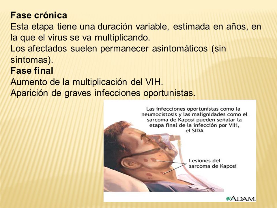 Fase crónica Esta etapa tiene una duración variable, estimada en años, en la que el virus se va multiplicando.