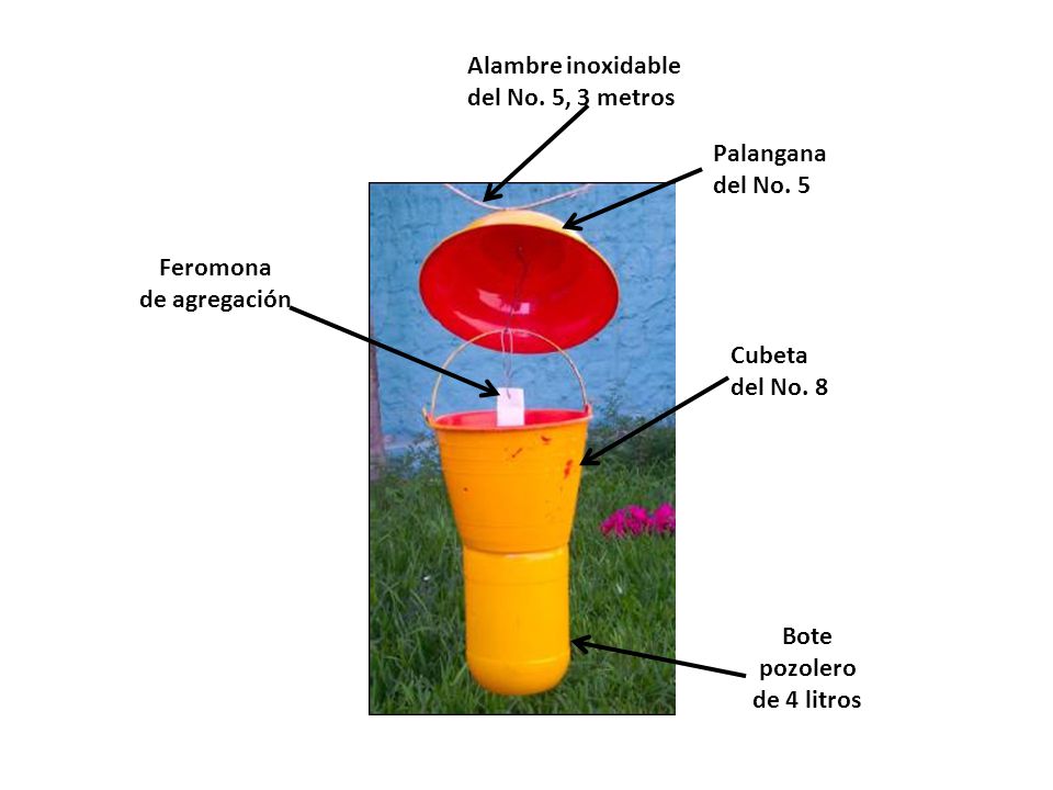Alambre inoxidable del No. 5, 3 metros. Palangana. del No. 5. Feromona. de agregación. Cubeta.