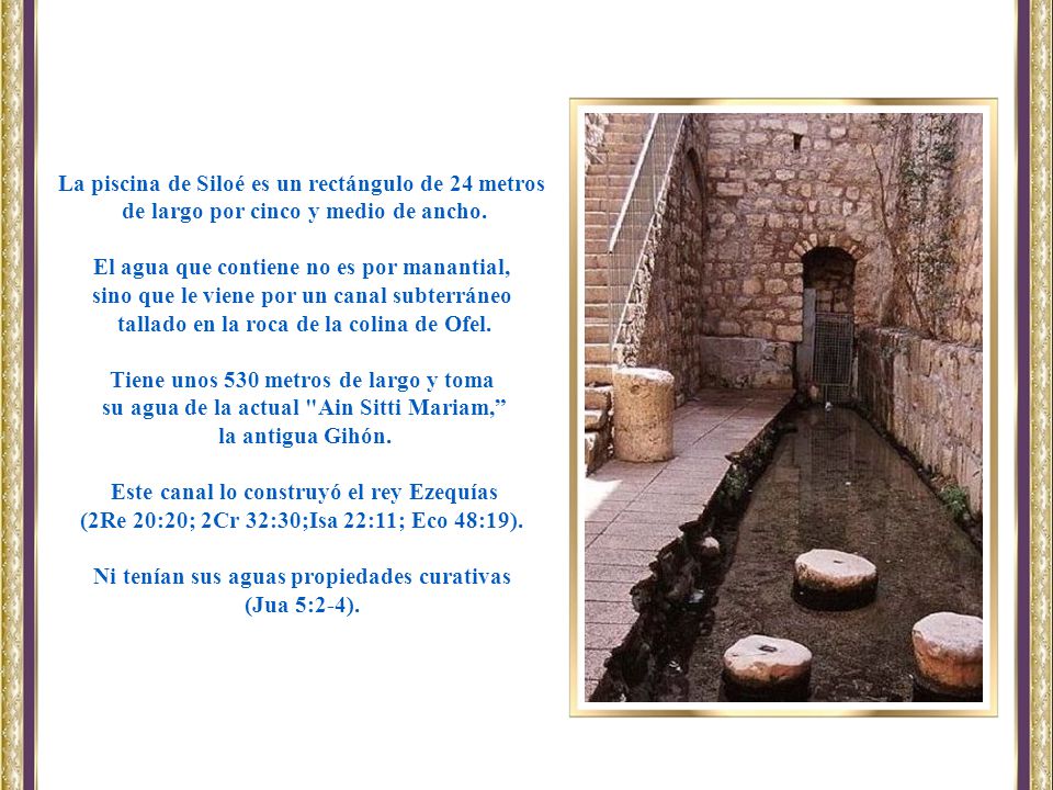 La piscina de Siloé es un rectángulo de 24 metros