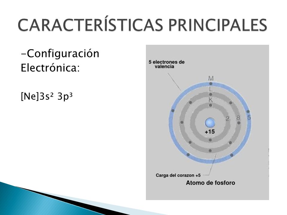 CARACTERÍSTICAS PRINCIPALES