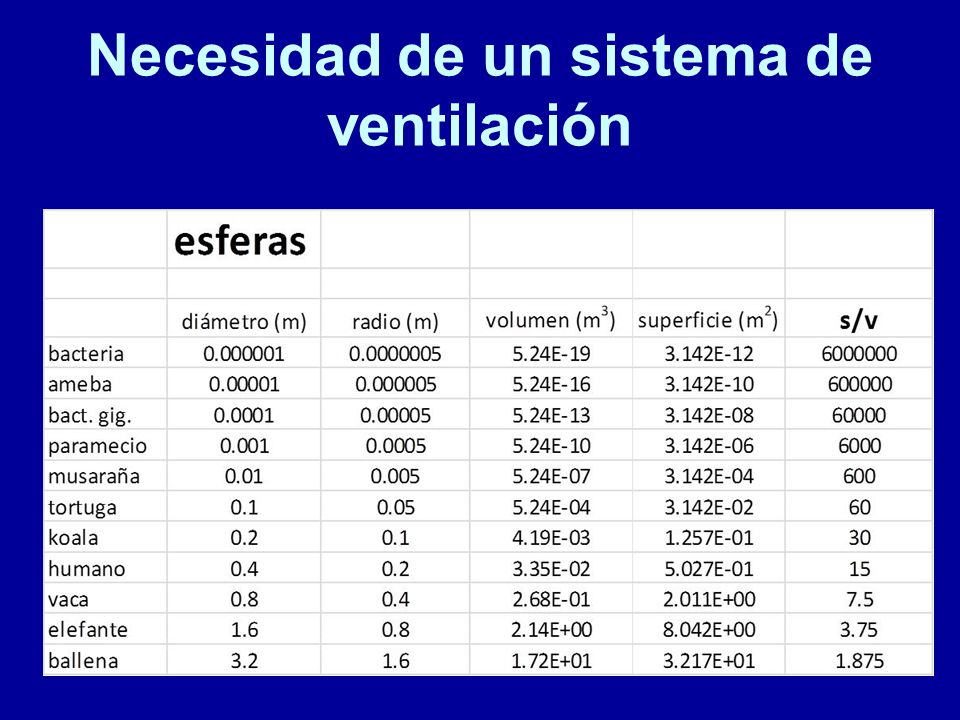 Necesidad de un sistema de ventilación