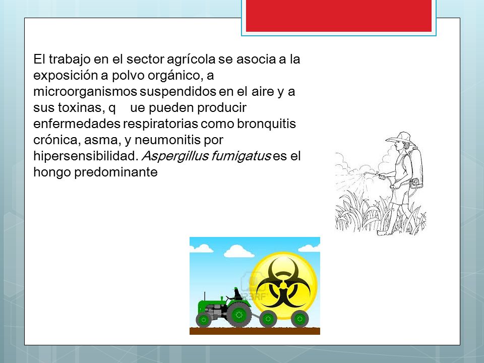 El trabajo en el sector agrícola se asocia a la exposición a polvo orgánico, a microorganismos suspendidos en el aire y a sus toxinas, q ue pueden producir enfermedades respiratorias como bronquitis crónica, asma, y neumonitis por hipersensibilidad.