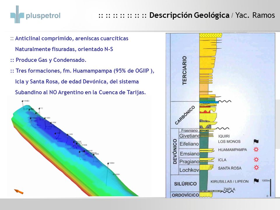 :: :: :: :: :: :: :: Descripción Geológica / Yac. Ramos