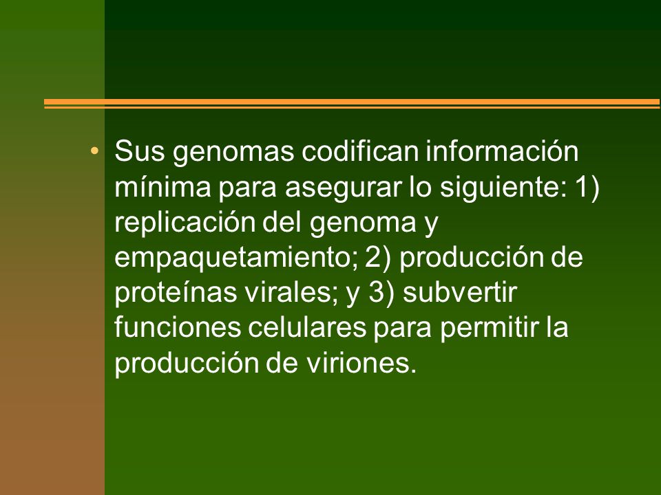 Sus genomas codifican información mínima para asegurar lo siguiente: 1) replicación del genoma y empaquetamiento; 2) producción de proteínas virales; y 3) subvertir funciones celulares para permitir la producción de viriones.