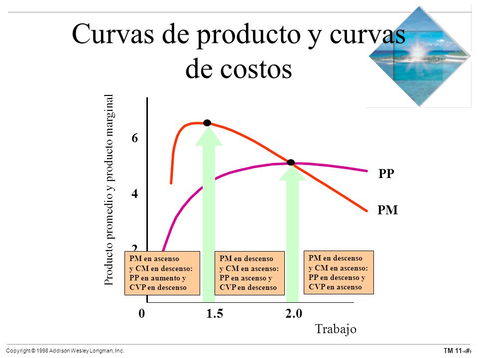 Curvas de producto y curvas de costos