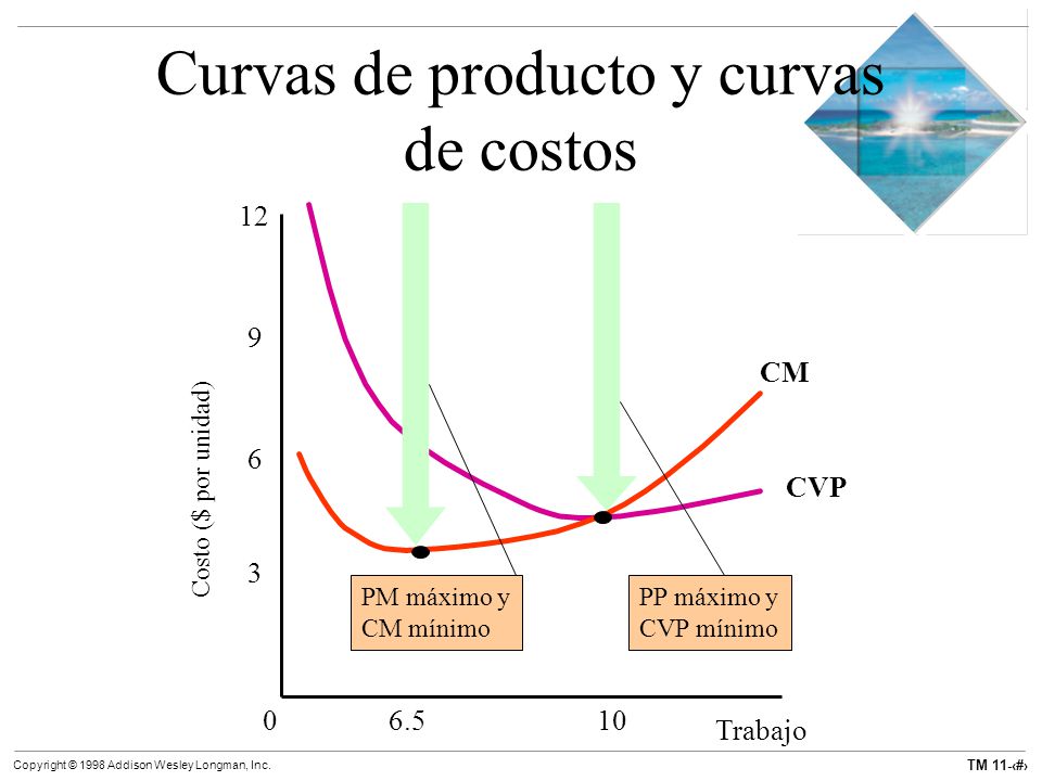 Curvas de producto y curvas de costos