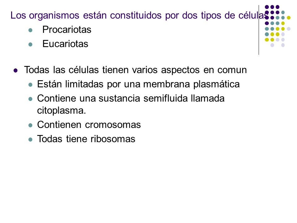Los organismos están constituidos por dos tipos de células