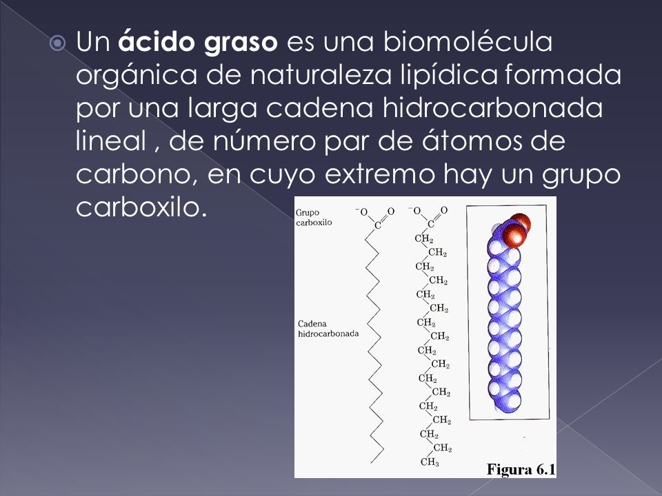 Un ácido graso es una biomolécula orgánica de naturaleza lipídica formada por una larga cadena hidrocarbonada lineal , de número par de átomos de carbono, en cuyo extremo hay un grupo carboxilo.
