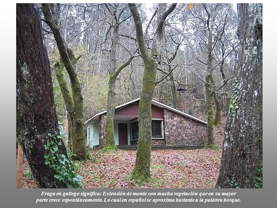 Fraga en gallego significa: Extensión de monte con mucha vegetación que en su mayor parte crece espontáneamente.