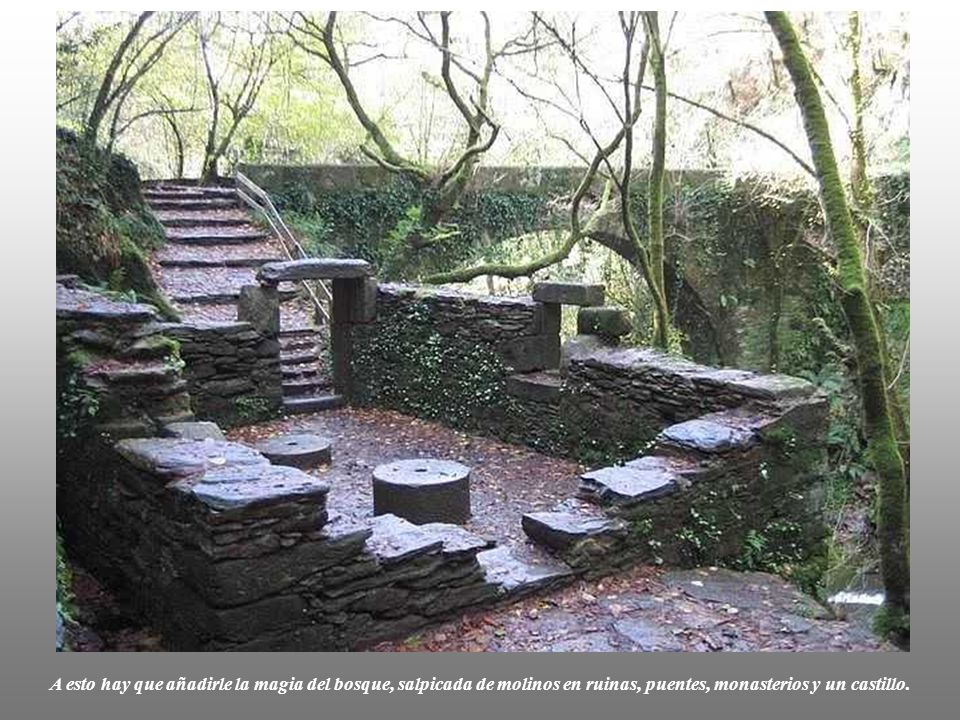 A esto hay que añadirle la magia del bosque, salpicada de molinos en ruinas, puentes, monasterios y un castillo.