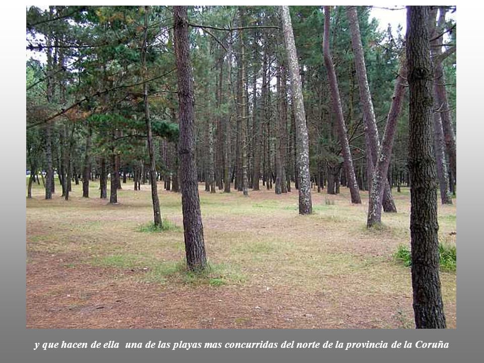y que hacen de ella una de las playas mas concurridas del norte de la provincia de la Coruña