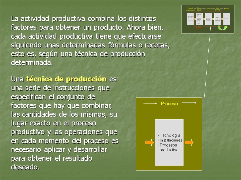 La actividad productiva combina los distintos factores para obtener un producto. Ahora bien, cada actividad productiva tiene que efectuarse siguiendo unas determinadas fórmulas o recetas, esto es, según una técnica de producción determinada.