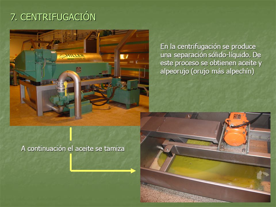 7. CENTRIFUGACIÓN En la centrifugación se produce una separación sólido-líquido. De este proceso se obtienen aceite y alpeorujo (orujo más alpechín)