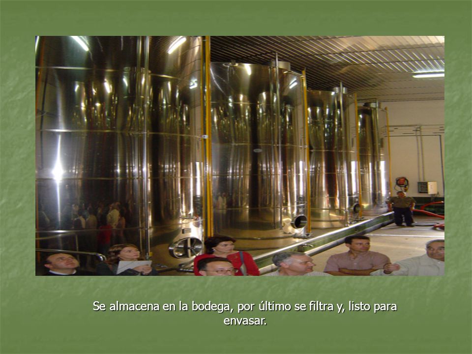 Se almacena en la bodega, por último se filtra y, listo para envasar.