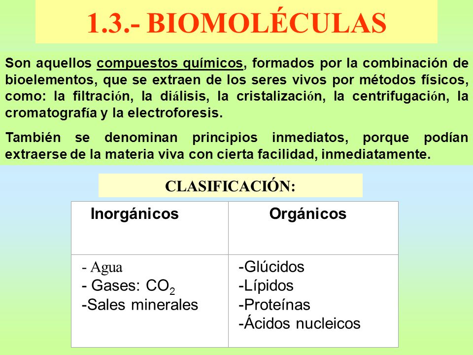1.3.- BIOMOLÉCULAS CLASIFICACIÓN: - Agua - Gases: CO2 -Sales minerales