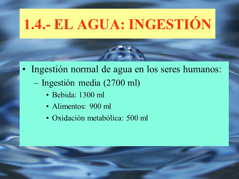 1.4.- EL AGUA: INGESTIÓN Ingestión normal de agua en los seres humanos: Ingestión media (2700 ml) Bebida: 1300 ml.