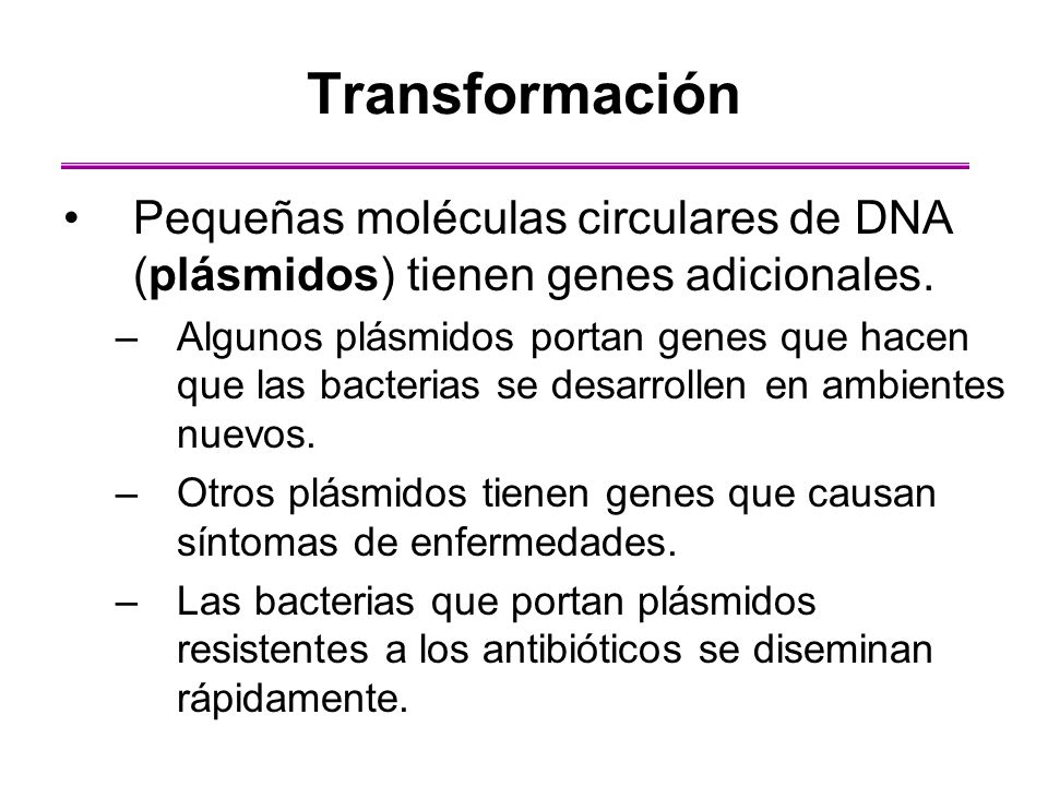 Transformación Pequeñas moléculas circulares de DNA (plásmidos) tienen genes adicionales.