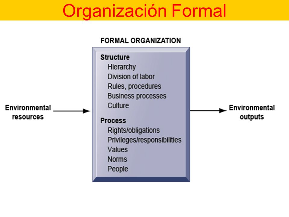 Organización Formal