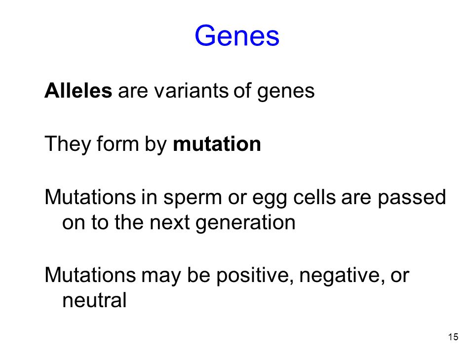 Genes Alleles are variants of genes They form by mutation