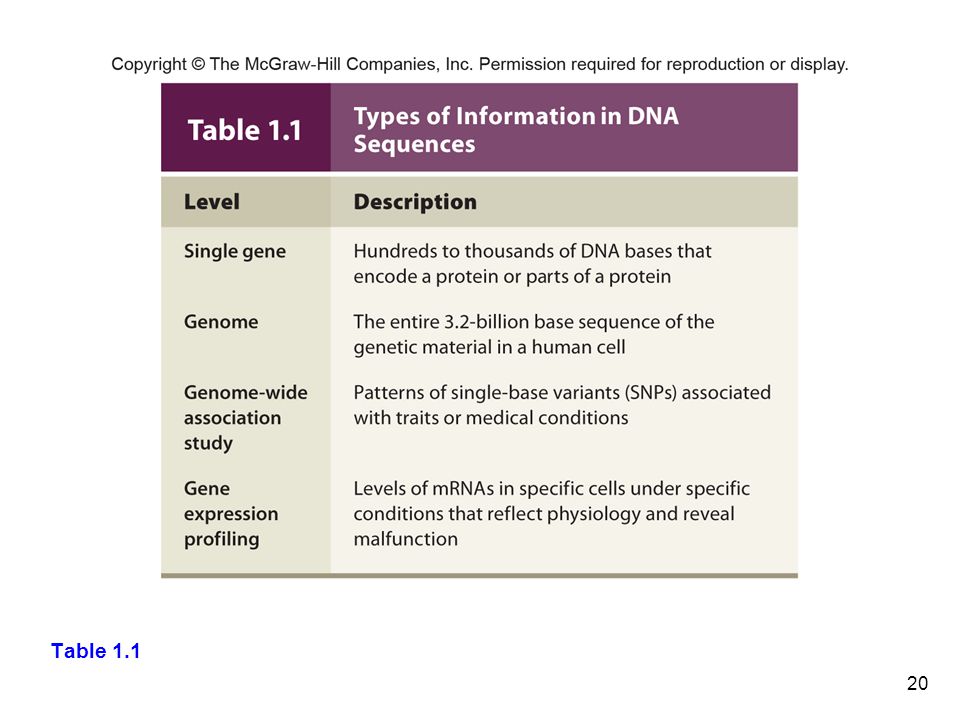 Nivel 1 – Informacion – Que tipo de informacion podemos obtener delDNA a distintos niveles