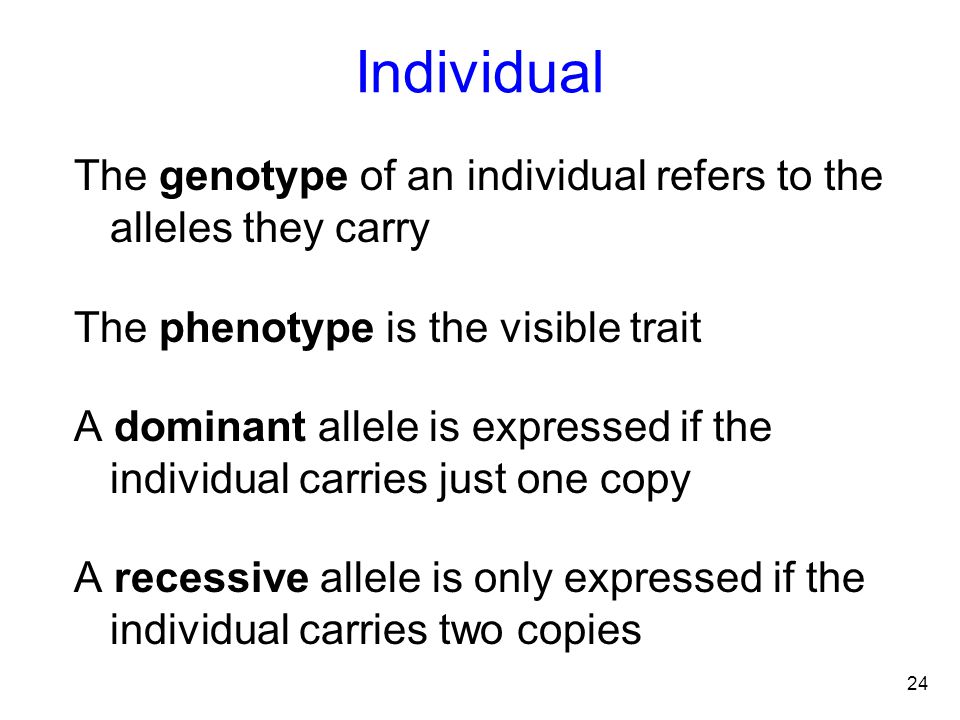 Individual The genotype of an individual refers to the alleles they carry. The phenotype is the visible trait.