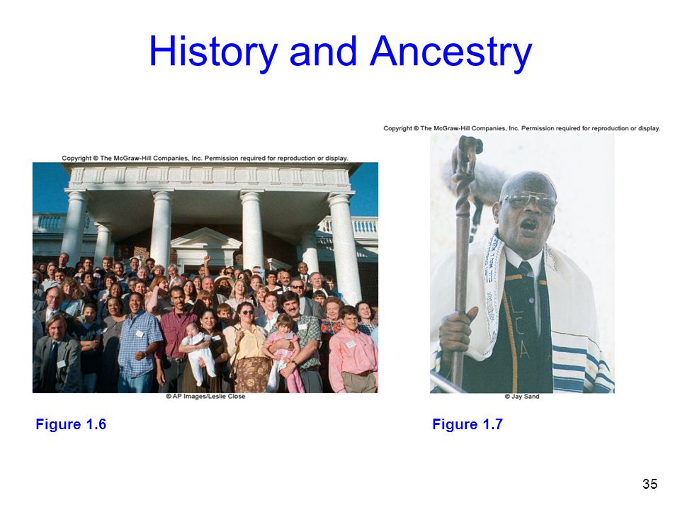 History and Ancestry Figure 1.6 Figure 1.7 Figure 1.7