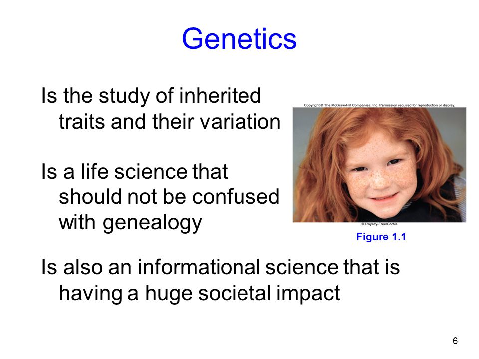 Genetics Is the study of inherited traits and their variation