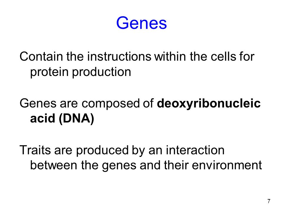 Genes Contain the instructions within the cells for protein production