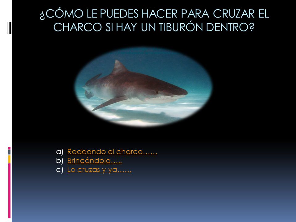 ¿CÓMO LE PUEDES HACER PARA CRUZAR EL CHARCO SI HAY UN TIBURÓN DENTRO