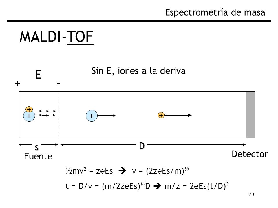 MALDI-TOF E + - Espectrometría de masa Sin E, iones a la deriva