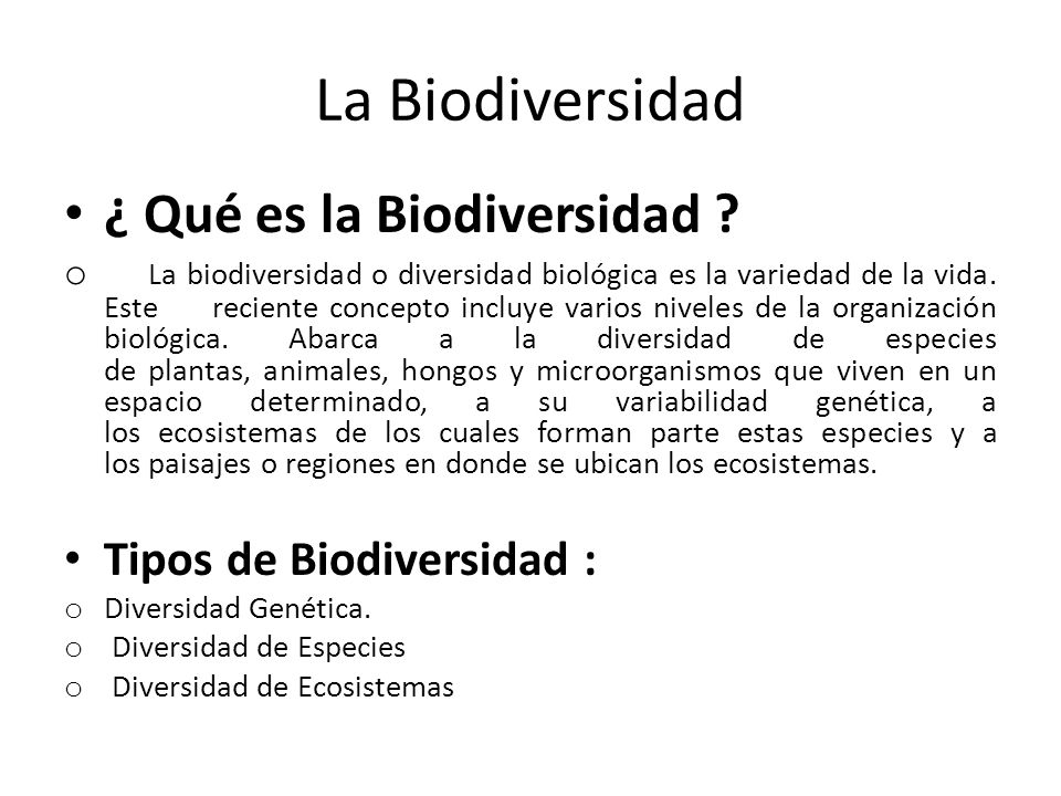 La Biodiversidad ¿ Qué es la Biodiversidad Tipos de Biodiversidad :