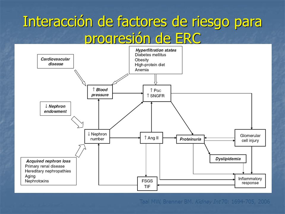 Interacción de factores de riesgo para progresión de ERC