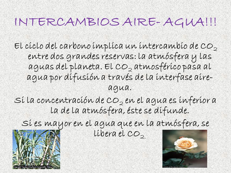 INTERCAMBIOS AIRE- AGUA!!!