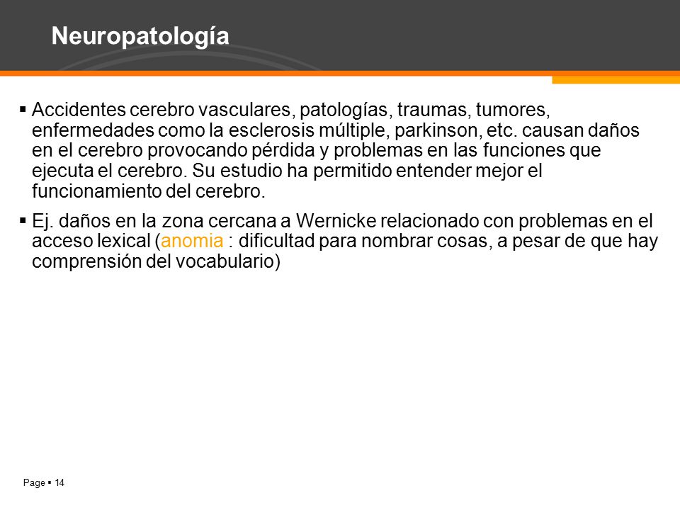 Neuropatología