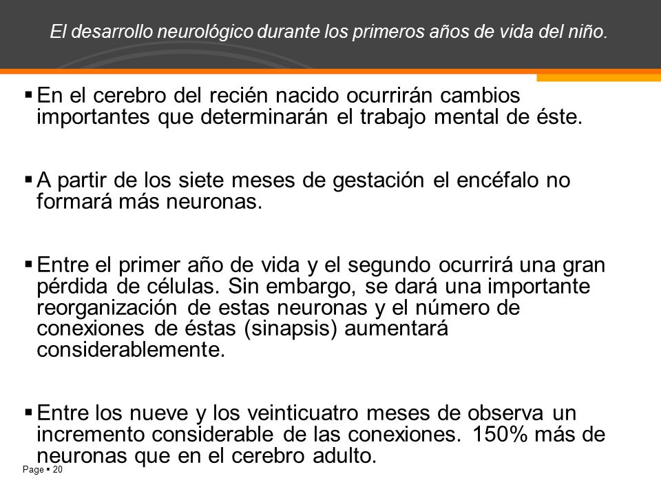 El desarrollo neurológico durante los primeros años de vida del niño.