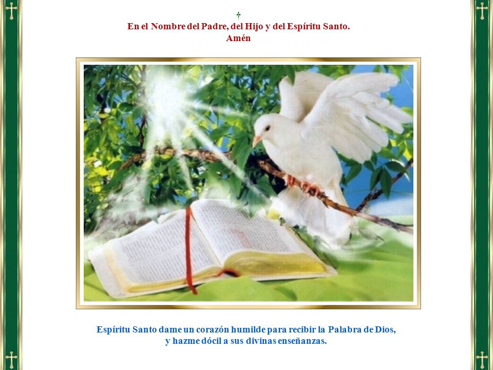 En el Nombre del Padre, del Hijo y del Espíritu Santo. Amén