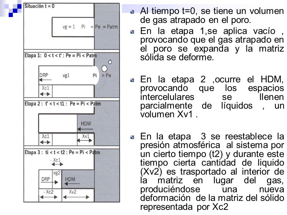 Al tiempo t=0, se tiene un volumen de gas atrapado en el poro.