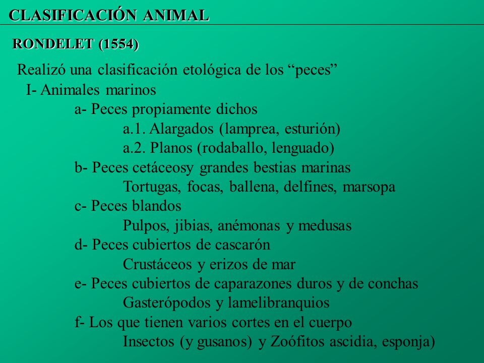 Realizó una clasificación etológica de los peces I- Animales marinos
