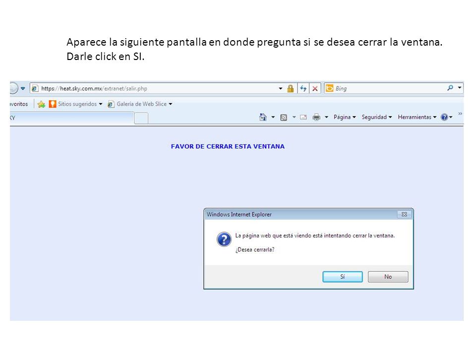 Aparece la siguiente pantalla en donde pregunta si se desea cerrar la ventana. Darle click en SI.